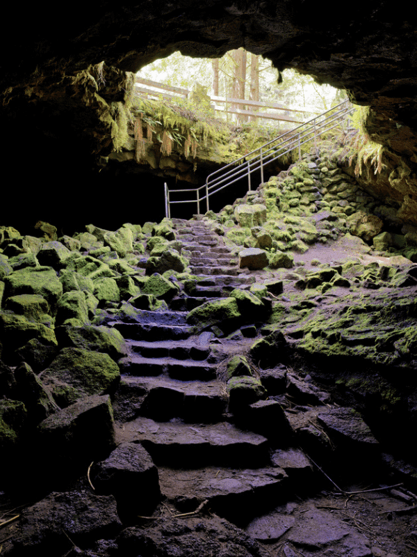 A moss-covered staircase leads from a dark cave into a bright, forested area above.