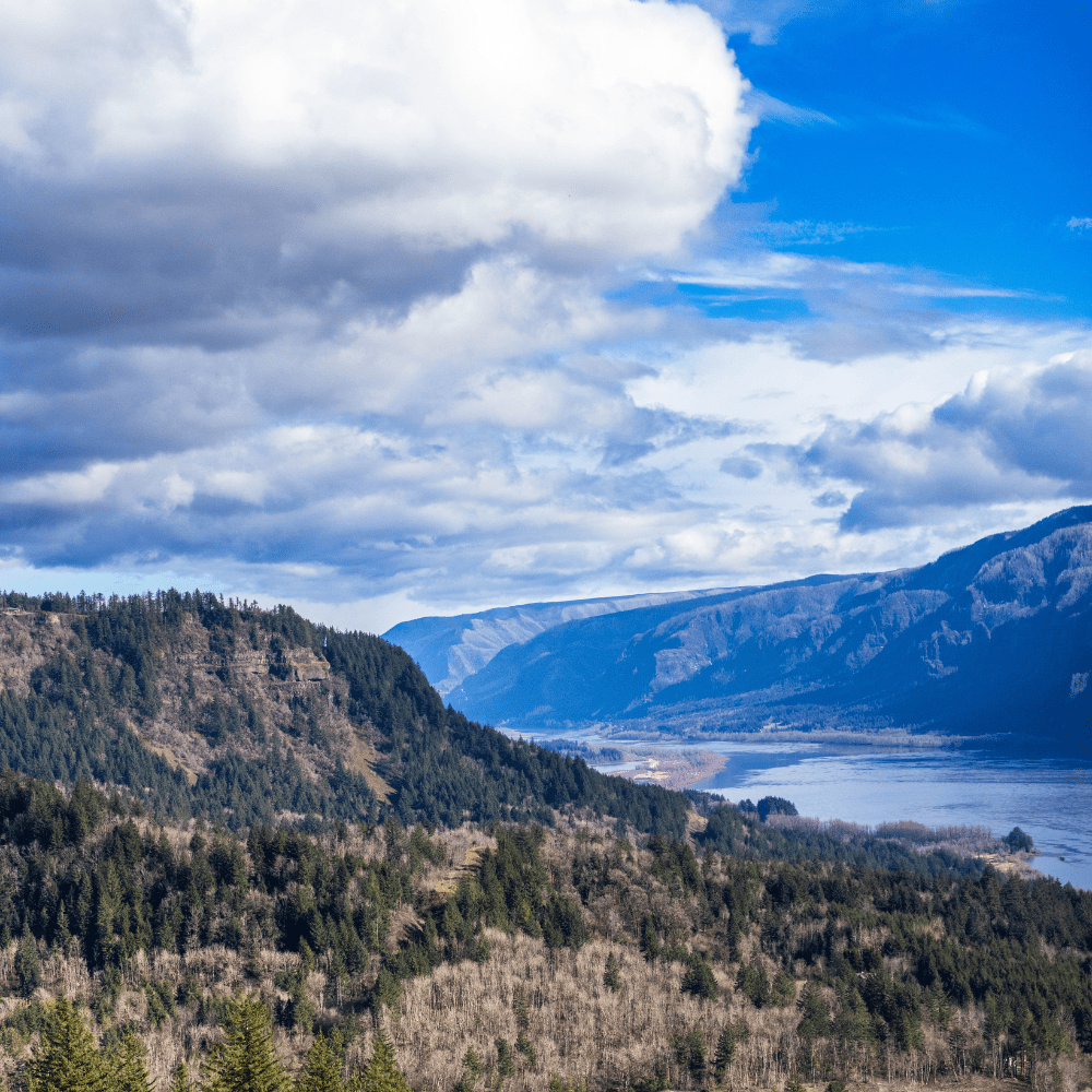 Image of Columbia River Gorge. View of ridge and river with cumulus clouds in the sky with bright blue sky.