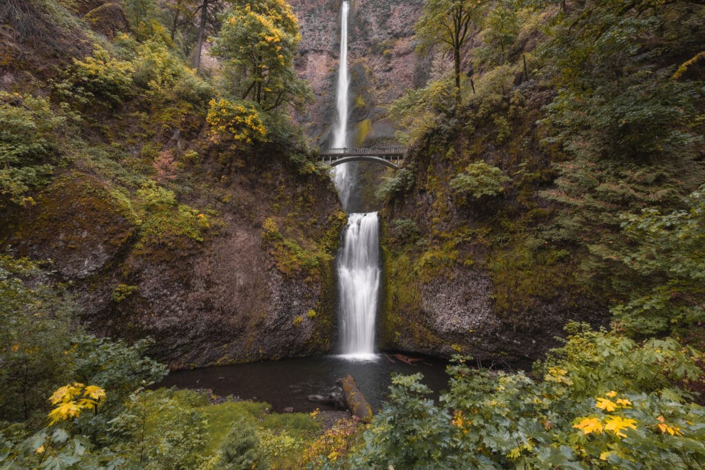 Image of Multnomah Falls in Columbia River Gorge
